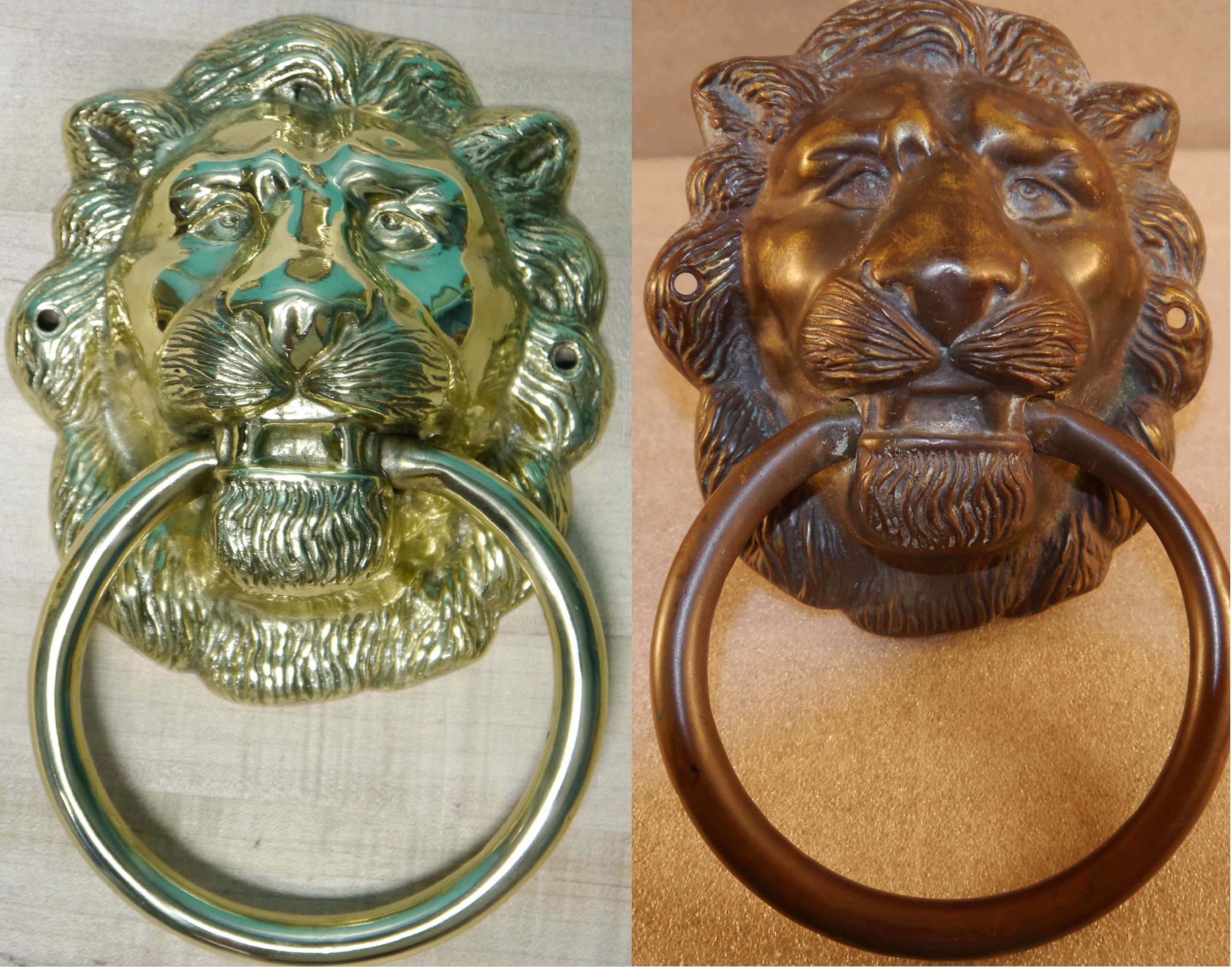 polished brass lions head door knocker